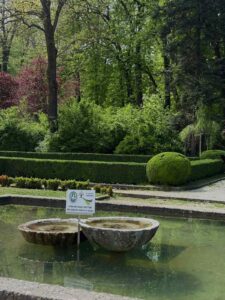 БУКОВИЧКА БАЊА