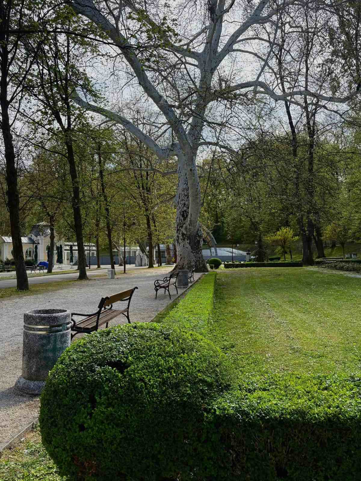 БУКОВИЧКА БАЊА