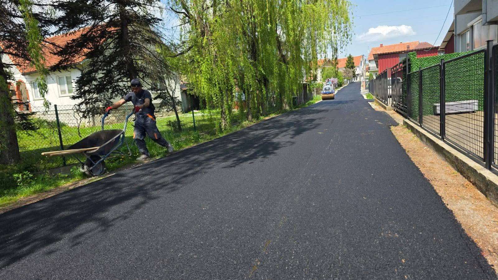 БРАНКА РАДИЧЕВИЋА