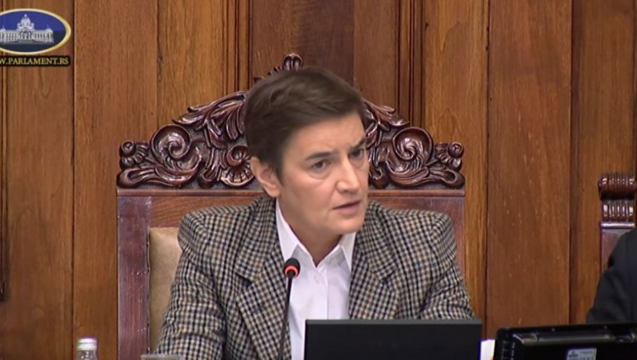 АНА БРНАБИЋ